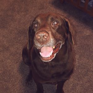 Meet your Posher, Kaden